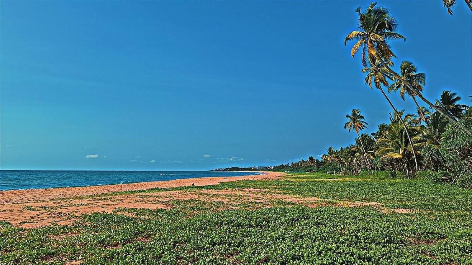 Raja Beach Hotel - Level 1 Safe&Secure Balapitiya Exterior foto